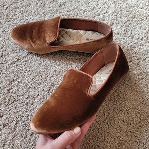 Birdies Starling Velvet Copper - 8 preowned